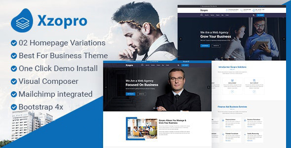 Xzopro - Finance And Business WordPress Theme icon