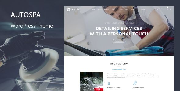 Auto Spa - Car Wash WordPress Theme icon
