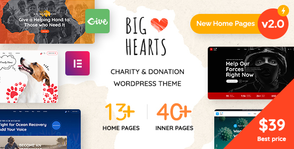 BigHearts - Charity & Donation WordPress Theme icon
