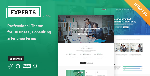 Experts - Business Professional Theme For Finance Firms icon
