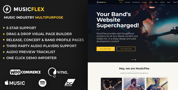 MusicFlex - WordPress Theme for Musicians icon