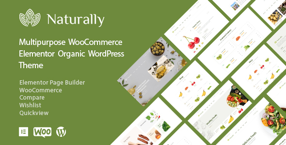 Naturally - Organic Shop WordPress WooCommerce icon
