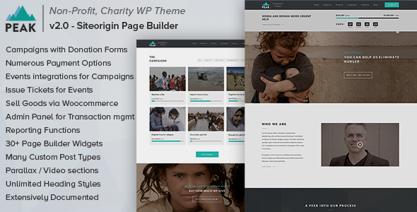 Peak - Charity Nonprofit WordPress Theme icon