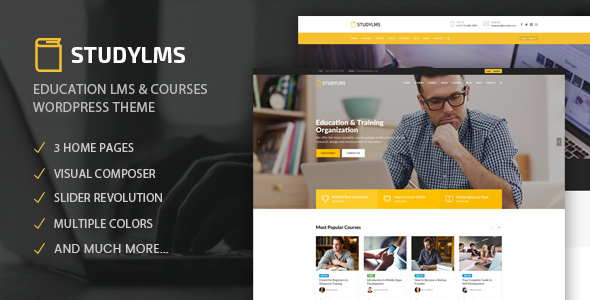 Studylms - Education LMS & Courses WordPress Theme icon