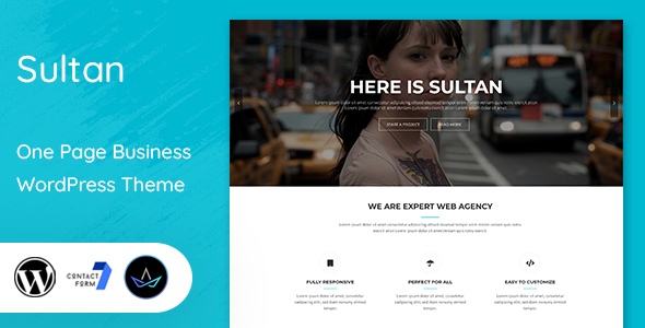 Sultan - One Page Business WordPress Theme icon