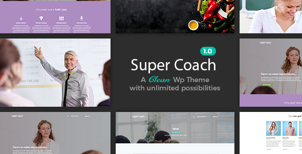 Super Coach - Life Coach WordPress icon