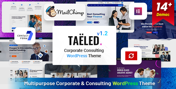 TAELED - Business Consulting icon