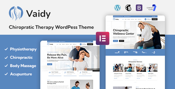 Vaidy - Chiropractic & Physiotherapy WordPress Theme icon