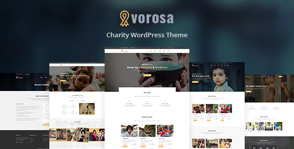 Vorosa - Nonprofit Charity WordPress Theme icon