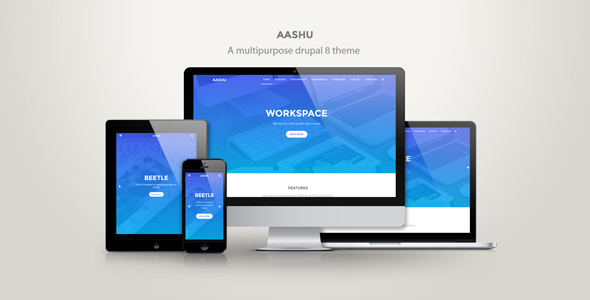 Aashu - A multipurpose drupal 8.x theme icon