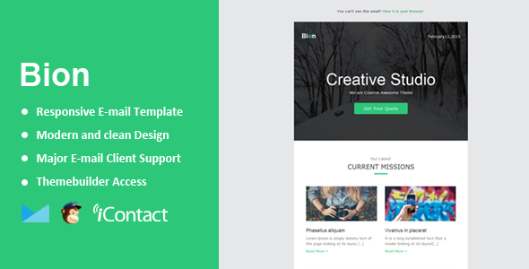 Bion - Responsive Email + Themebuilder Access icon