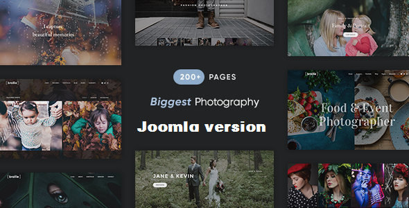 Brailie - Responsive Photography Joomla Template icon