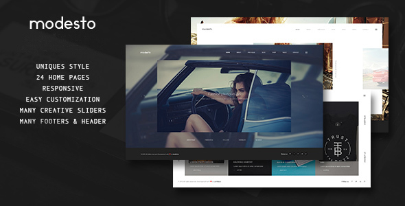 Modesto - Power Unique Portfolio Photography And Agency Drupal Theme icon