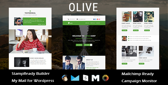 OLIVE - Multipurpose Responsive Email Template with Stampready Builder Access icon