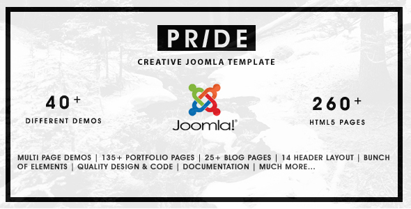 Pride - Multipurpose Joomla Template icon