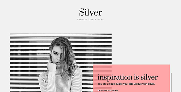 Silver Tumblr Theme icon