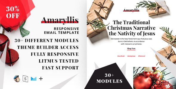 Amaryllis – Responsive HTML Email + StampReady, MailChimp & CampaignMonitor compatible files icon