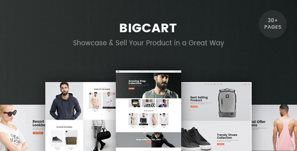 BigCart - Responsive Shopify Template (Sections Ready) icon