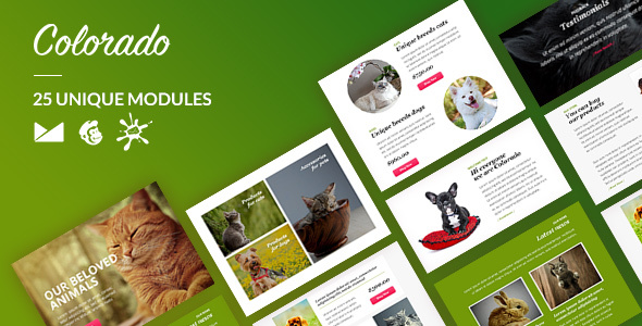 Colorado Email-Template + Online Builder icon