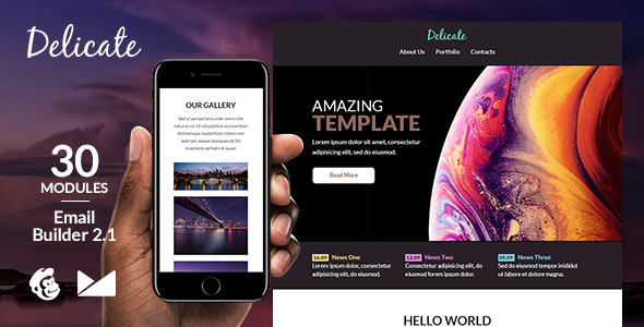 Delicate Responsive Email Template + Online Emailbuilder 2.1 icon