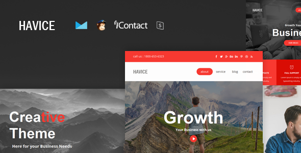 Havice Mail - Responsive E-mail Template + Online Access icon