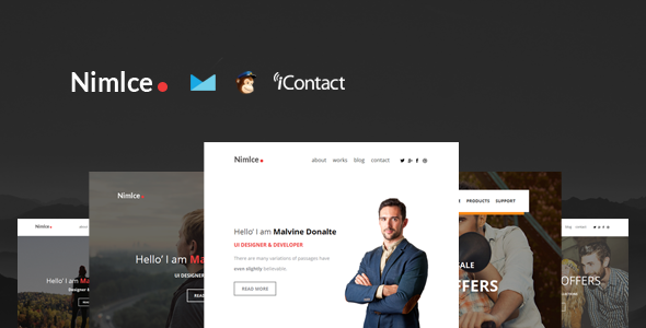 Nimlce - Responsive E-mail Templates set + Online Access icon