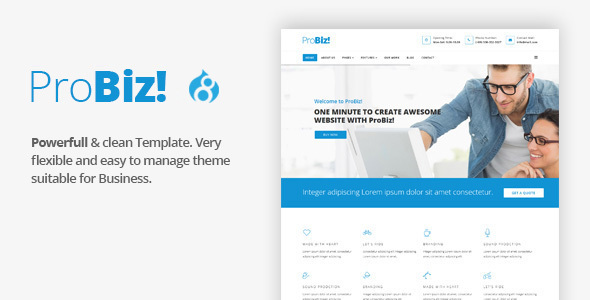 ProBiz! - Multipurpose Business Drupal 8 Theme icon