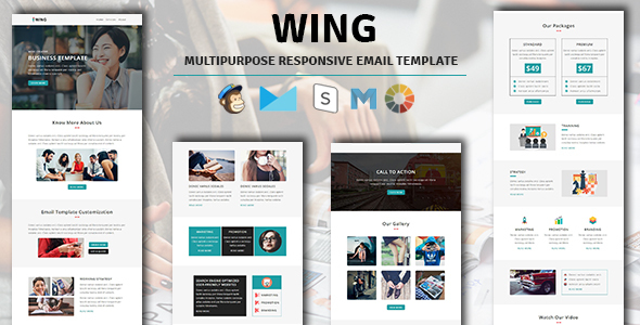 WING - Multipurpose Responsive Email Template with Stampready Builder Access icon
