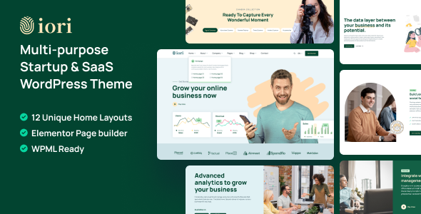 iori - Multipurpose Startup & SaaS Elementor WordPress Theme