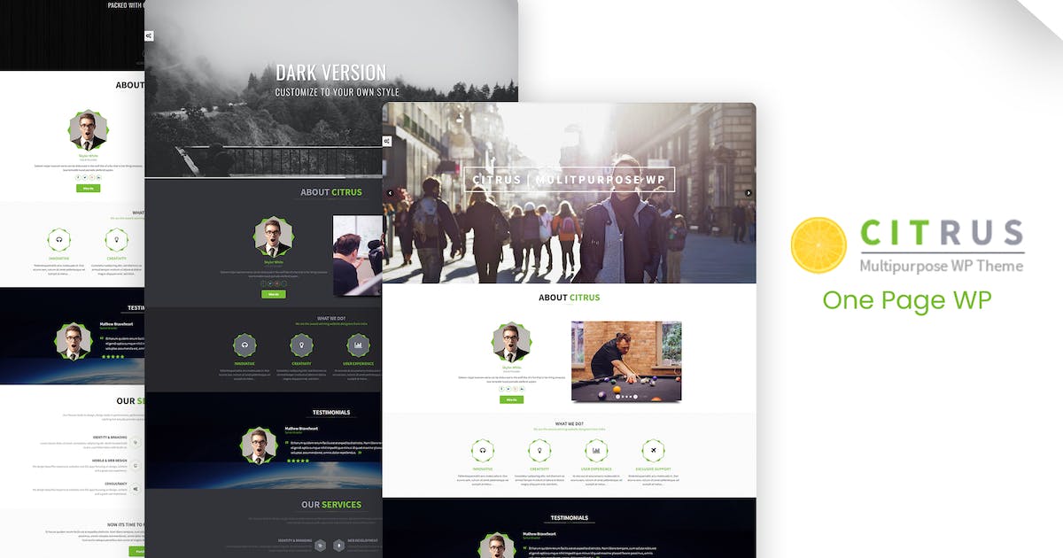 Citrus - One Page WordPress Theme