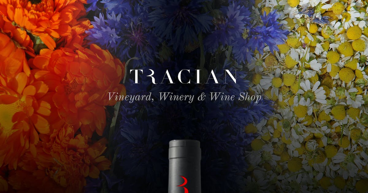 Tracian - Wine WordPress Theme icon