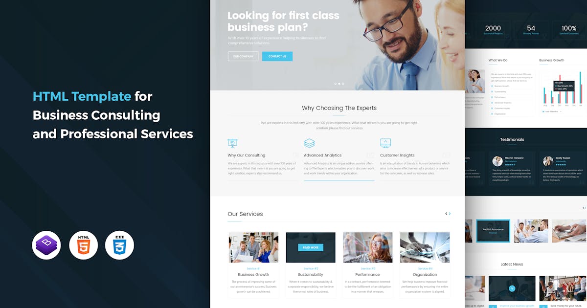 The Experts - Business Consulting Template