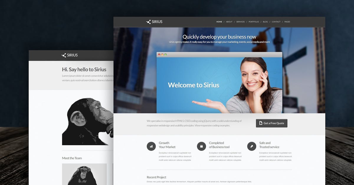 Sirius - Modern and Minimalist HTML Template