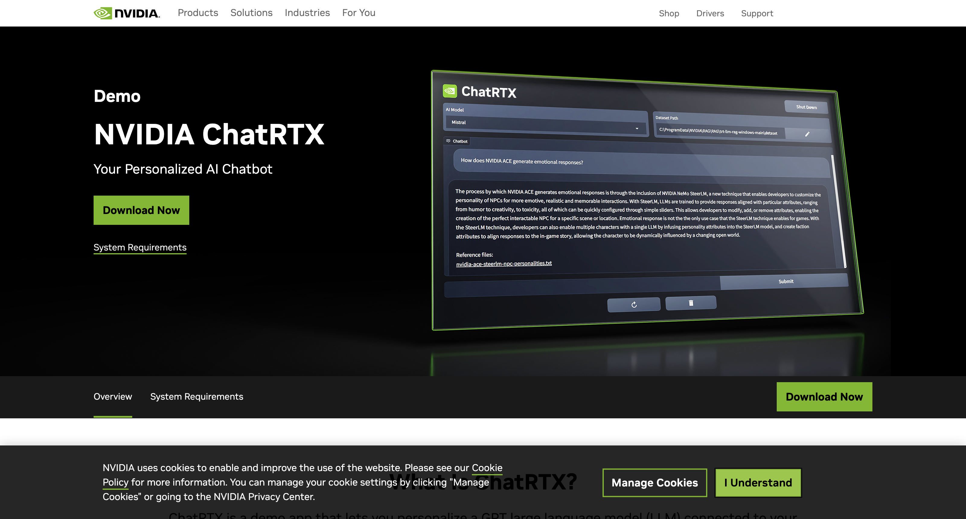 NVIDIA ChatRTX icon