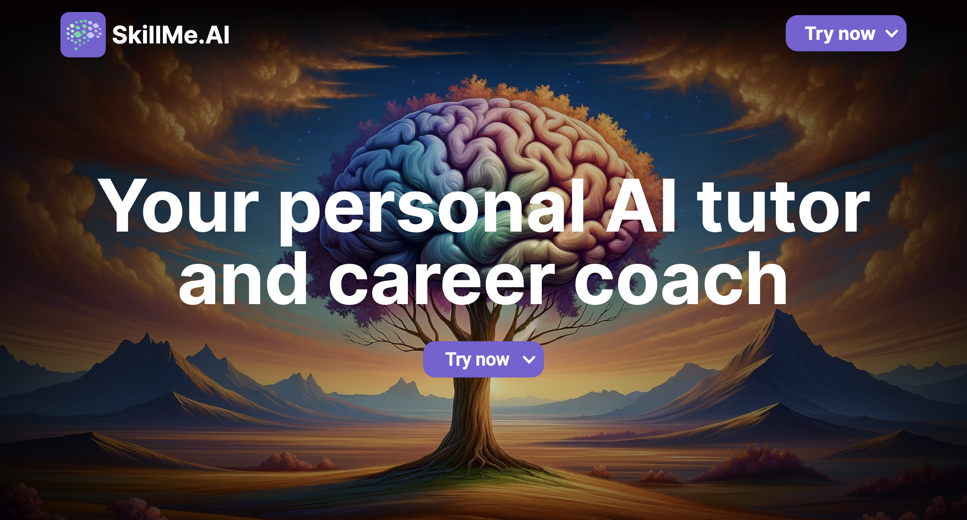 skillme.ai icon
