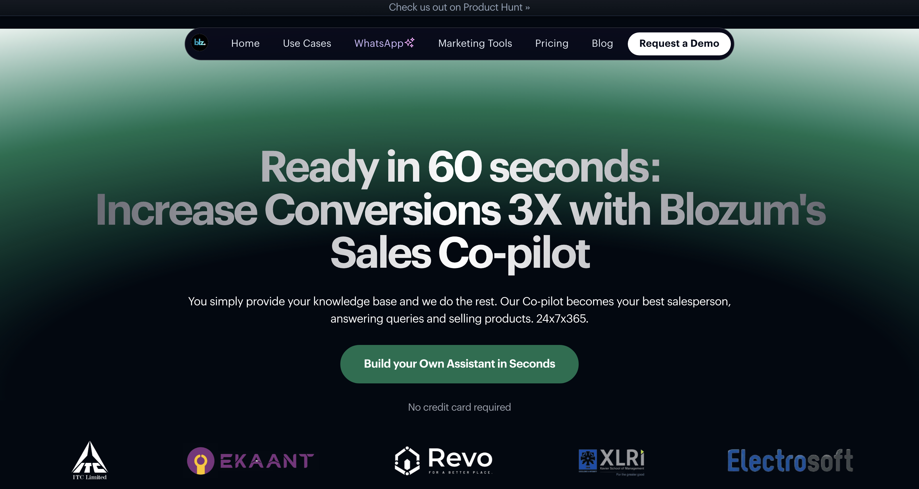 Blozum: Advanced AI Chat Assistants for Enhanced Website Conversions