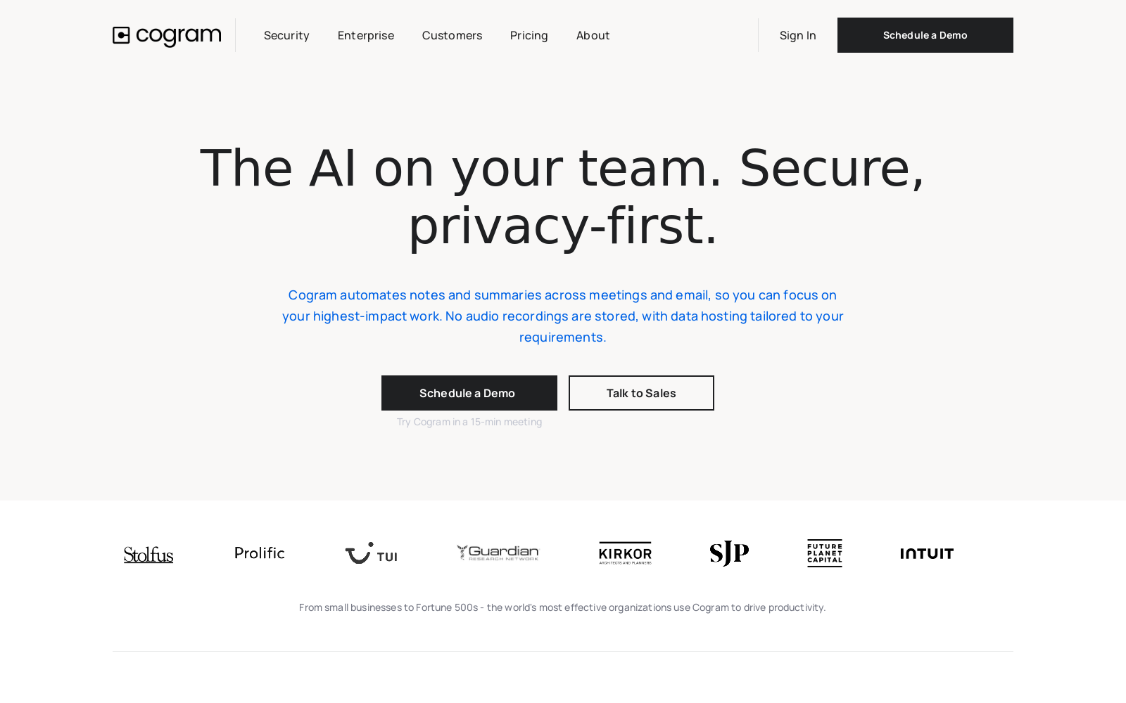 The AI on your team. Secure, privacy-first. icon
