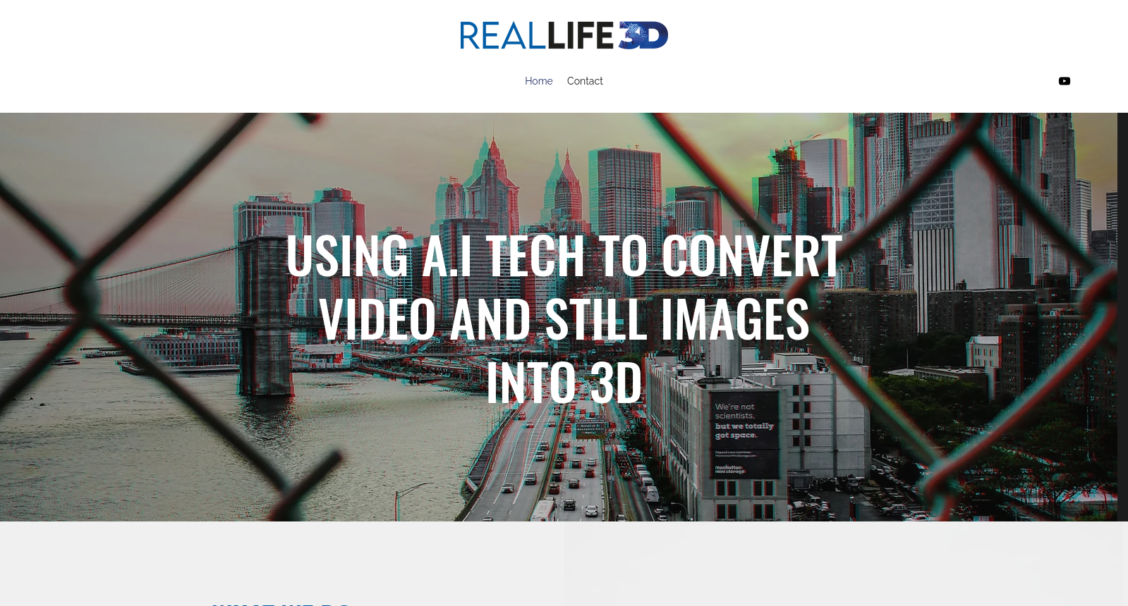 3D image conversion | Real Life 3D
