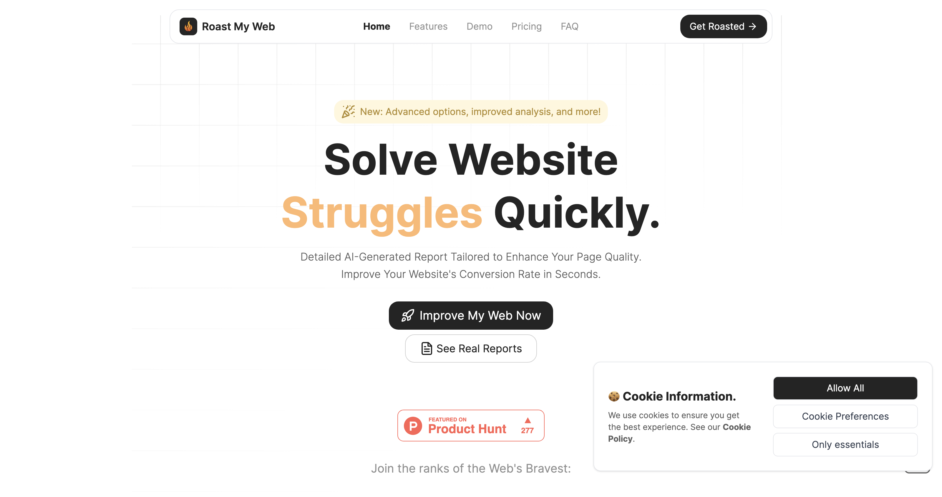 Roast My Web - Improve your web using AI icon